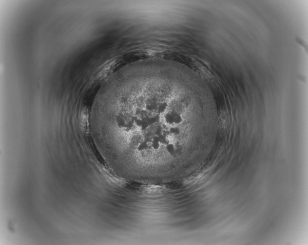 X0000098070527200804181136