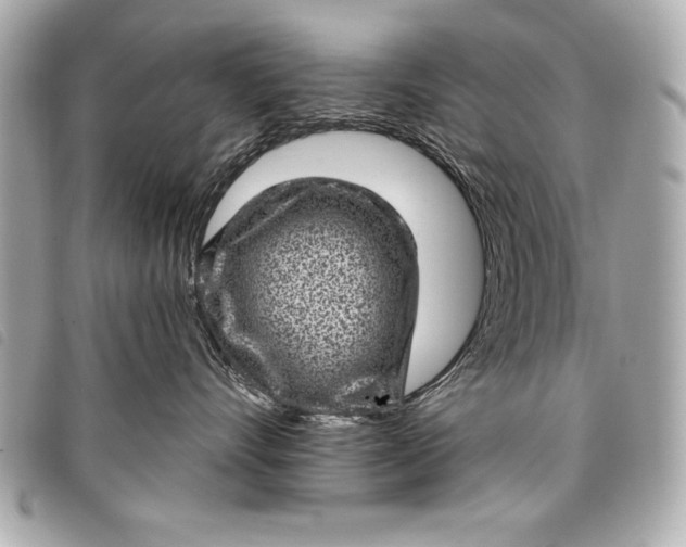 X0000098070528200804181136