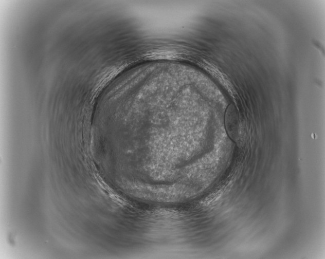 X0000098070529200804181135