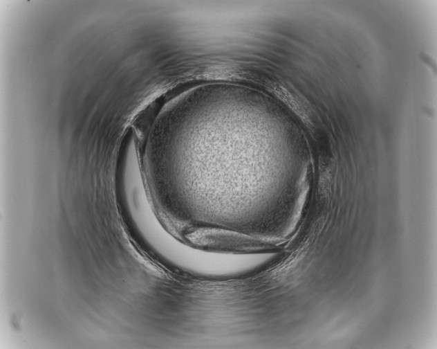 X0000098070530200804181135