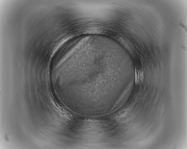 X0000098070531200804181135