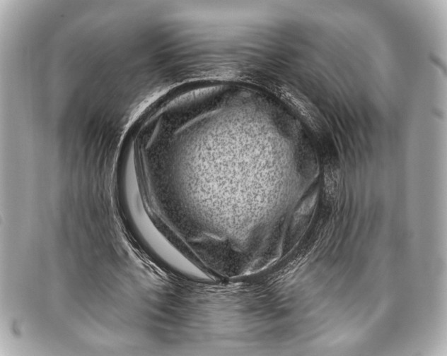 X0000098070532200804181135