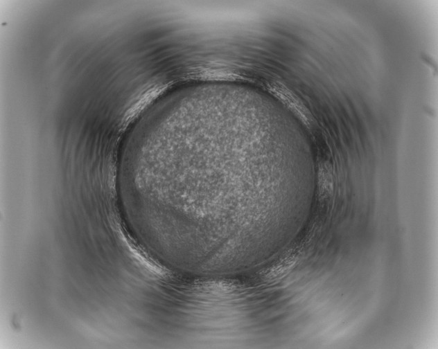 X0000098070533200804181135