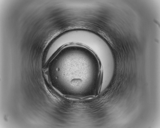 X0000098070534200804181135