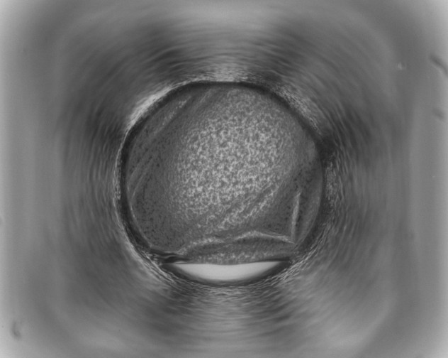 X0000098070536200804181135