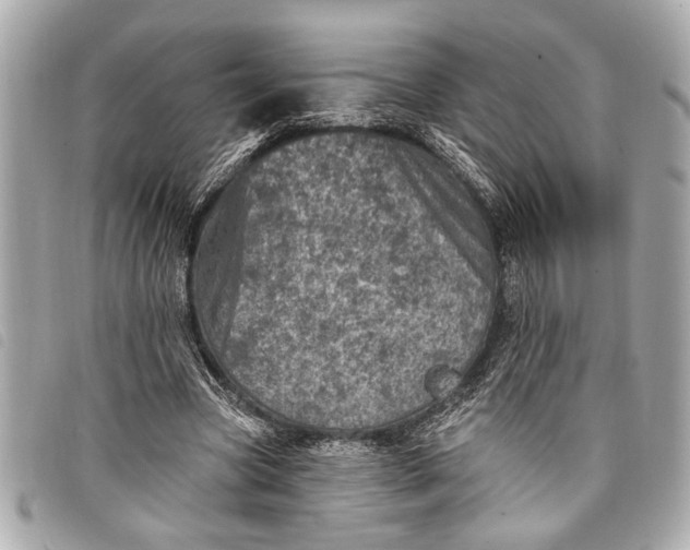 X0000098070537200804181135