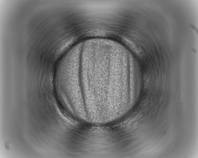 X0000098070538200804181135