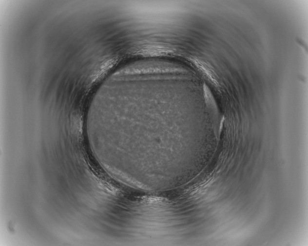 X0000098070539200804181135