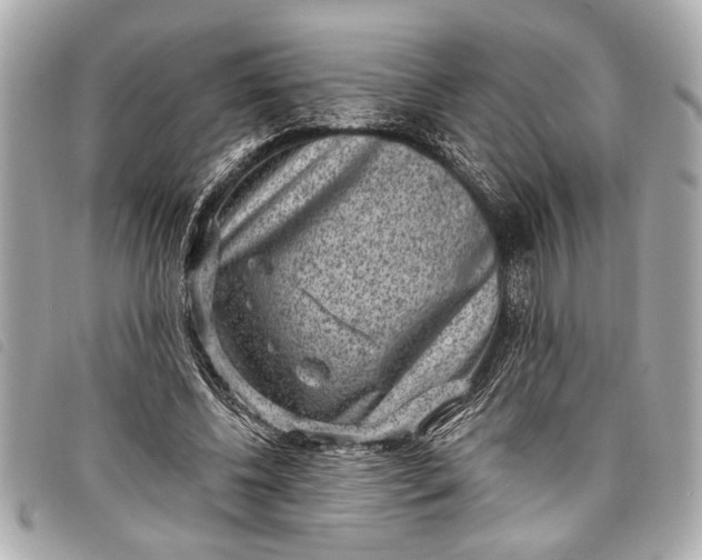 X0000098070540200804181135