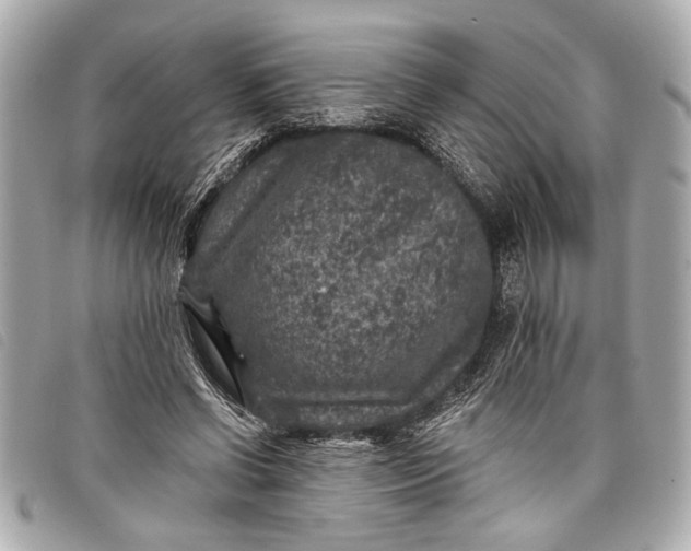 X0000098070542200804181135