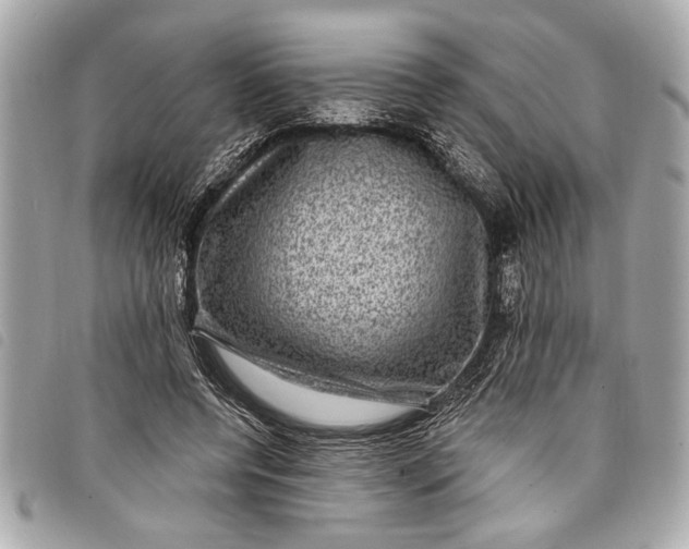 X0000098070544200804181135