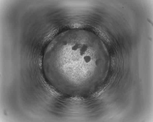 X0000098070545200804181135