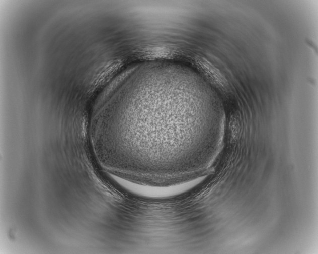 X0000098070546200804181135