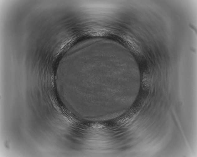 X0000098070547200804181135