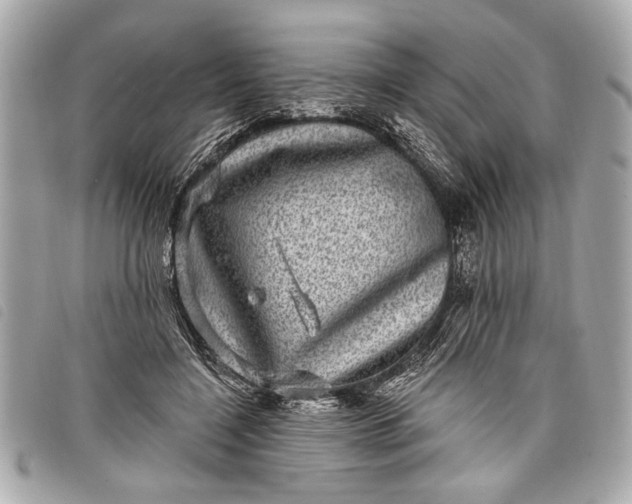 X0000098070548200804181135