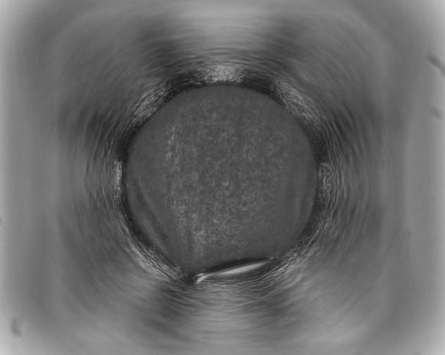 X0000098070550200804181135