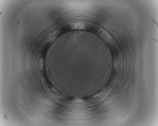 X0000098070551200804181135