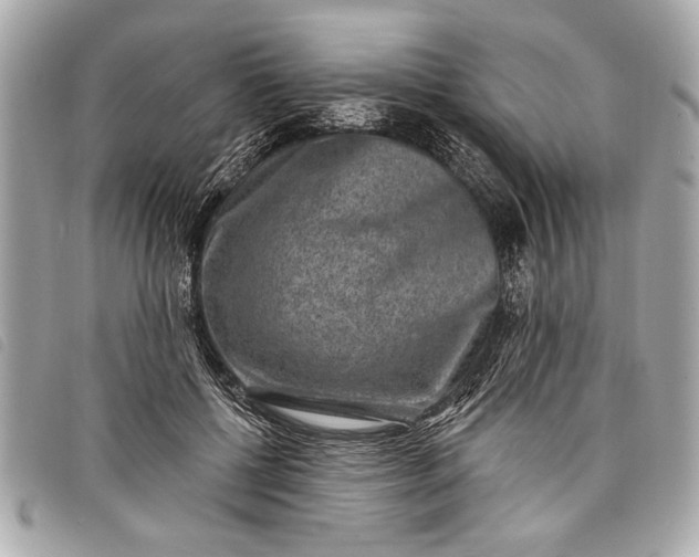 X0000098070552200804181135