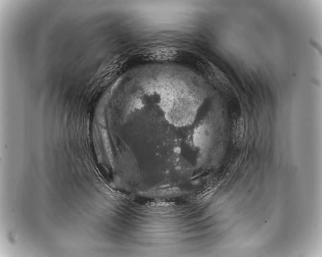 X0000098070553200804181135