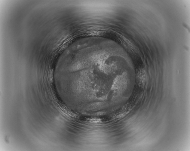 X0000098070554200804181135