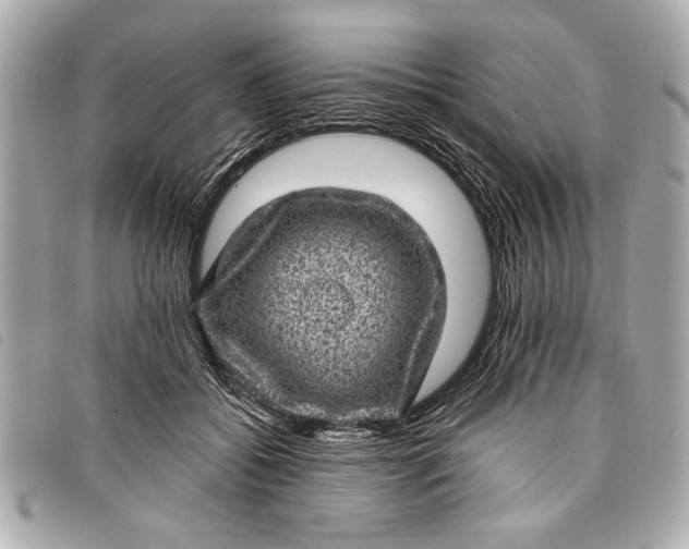 X0000098070556200804181135