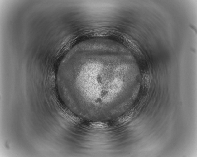 X0000098070557200804181135