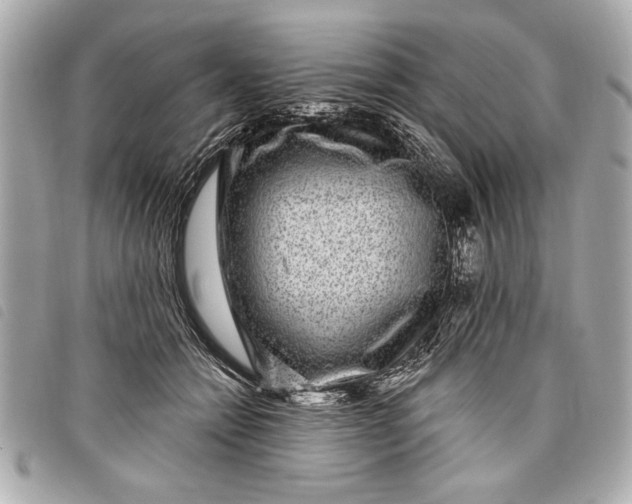 X0000098070558200804181135