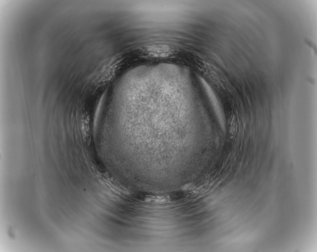 X0000098070559200804181135