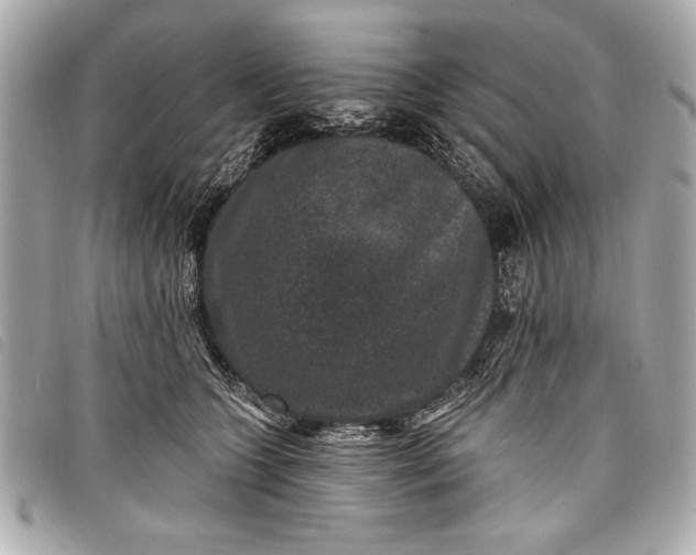 X0000098070563200804181136