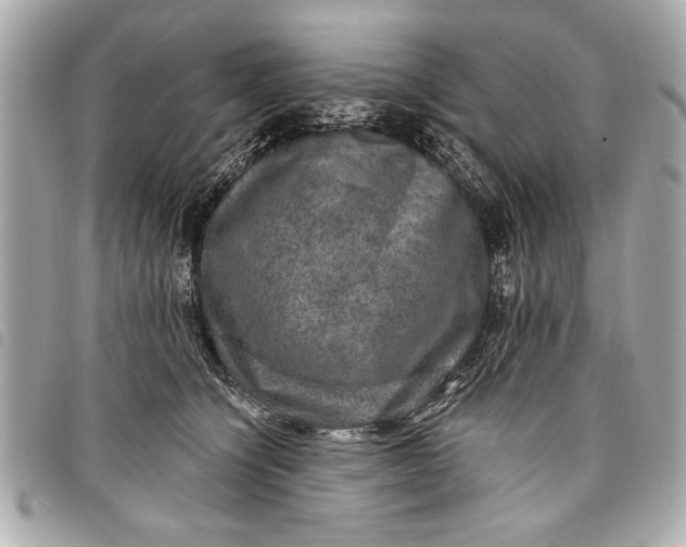 X0000098070564200804181136