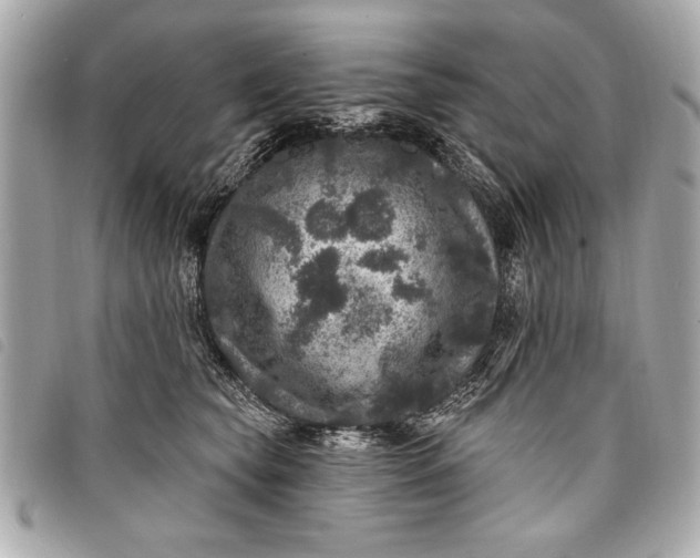 X0000098070565200804181136