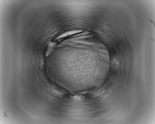 X0000098070566200804181136