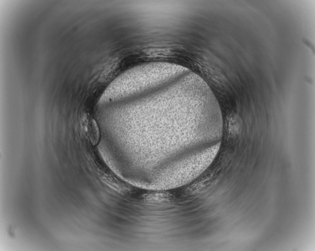 X0000098070567200804181136