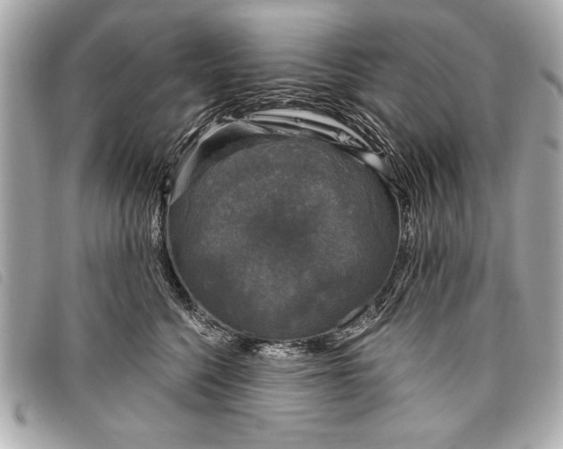 X0000098070568200804181136