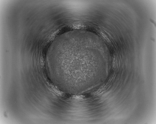 X0000098070569200804181136