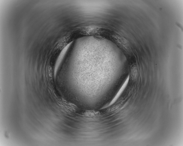 X0000098070571200804181136