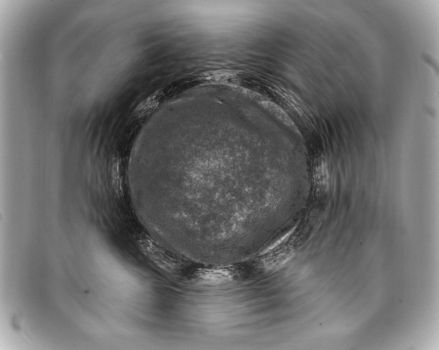 X0000098070572200804181136