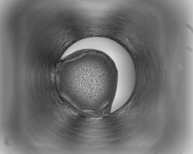 X0000098070576200804181136