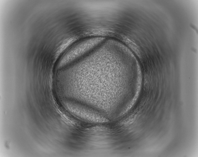 X0000098070578200804181135