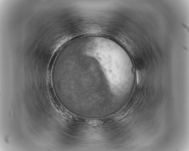 X0000098070579200804181135