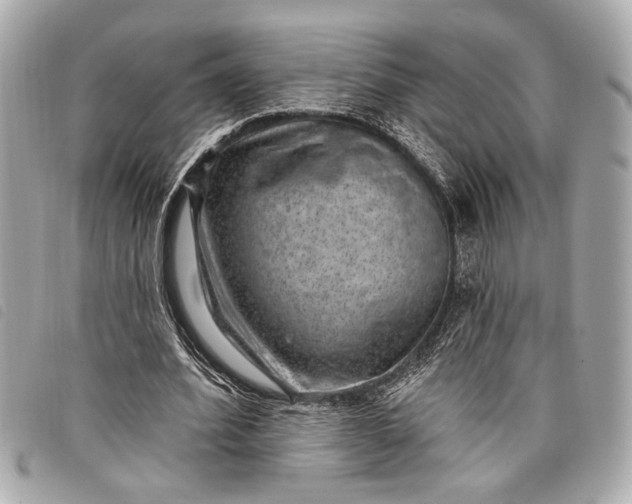 X0000098070580200804181135