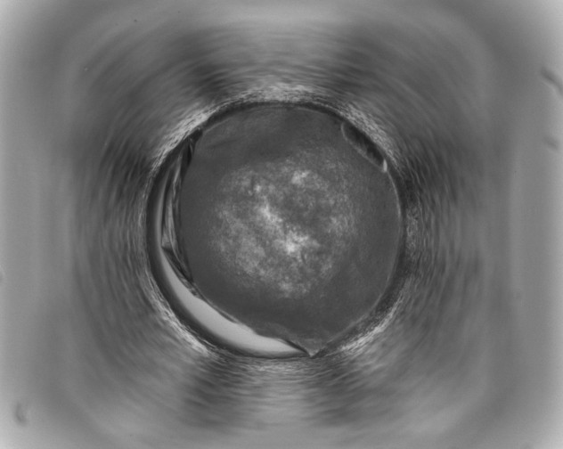 X0000098070581200804181135