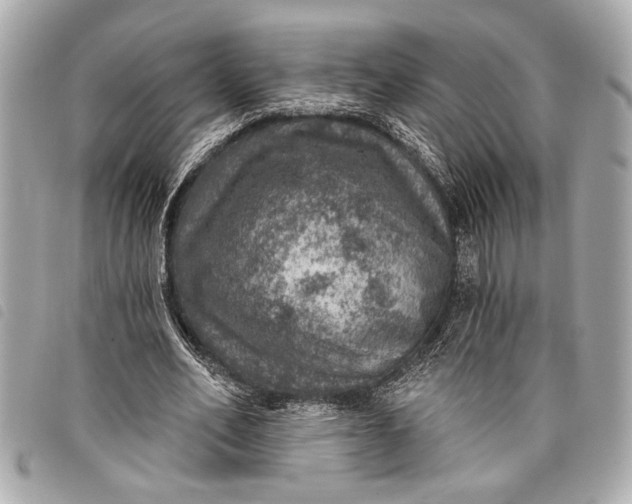 X0000098070582200804181135