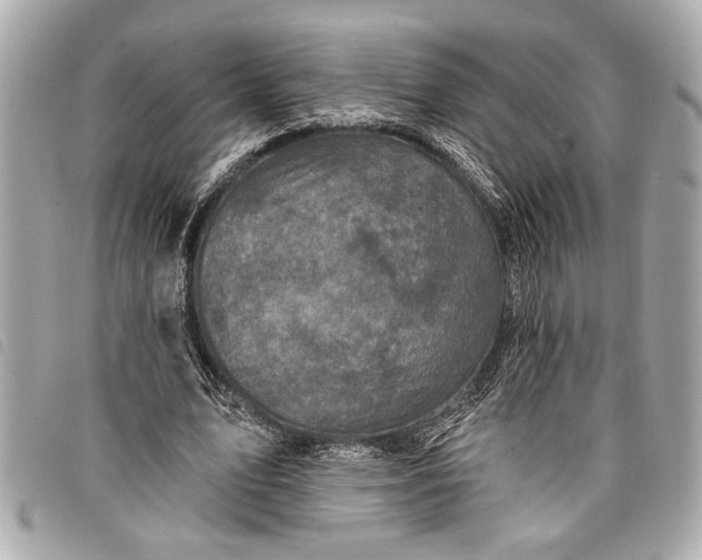 X0000098070583200804181135