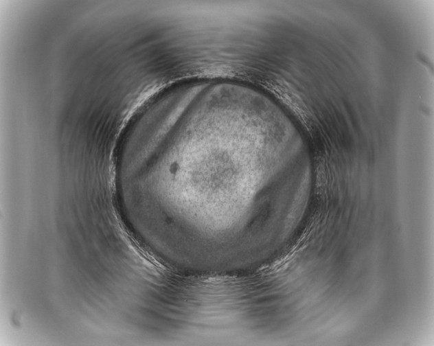 X0000098070584200804181135