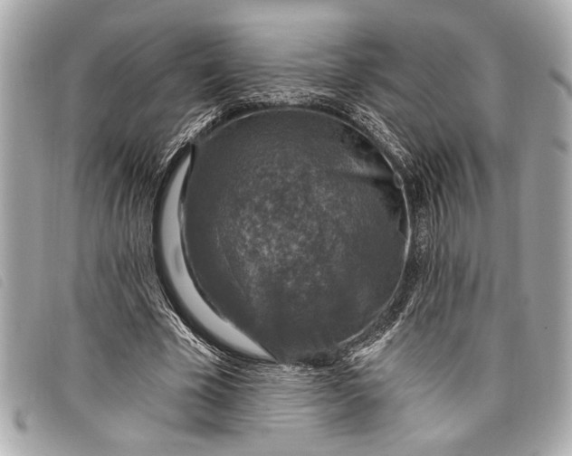 X0000098070585200804181135