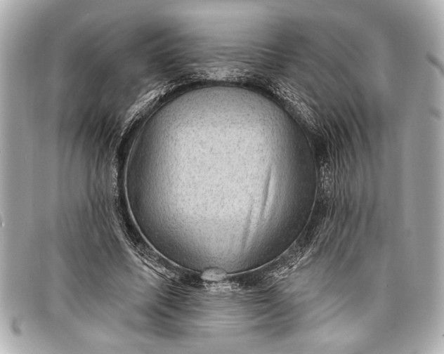 X0000098070587200804181135