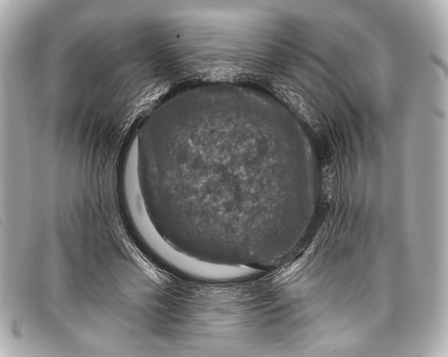 X0000098070589200804181135