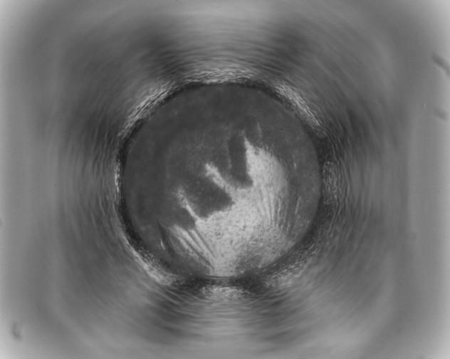 X0000098070590200804181135