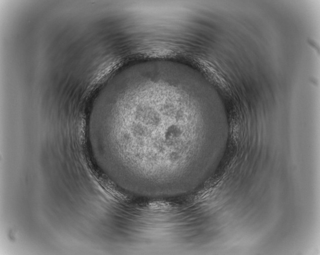 X0000098070591200804181135